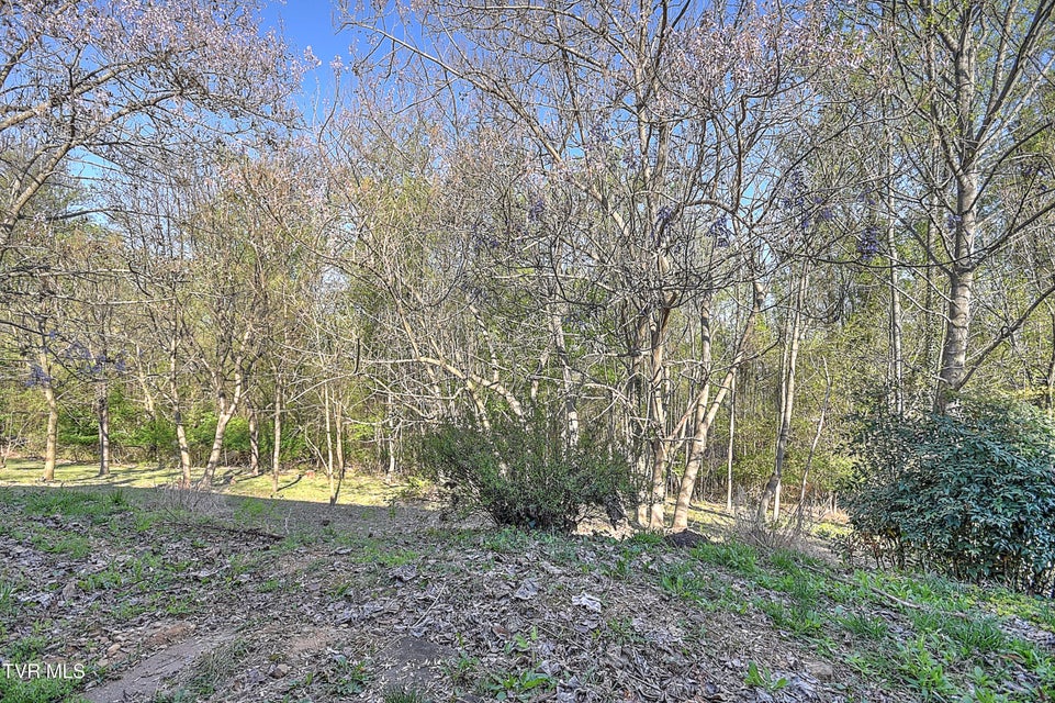 Photo #38: 4148 Skyland Drive