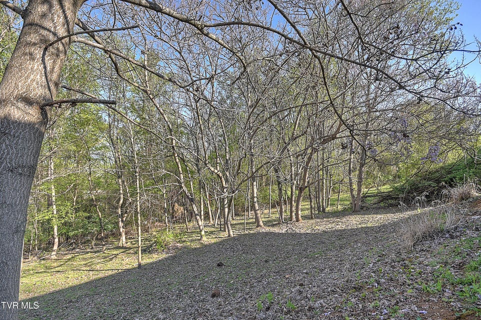 Photo #39: 4148 Skyland Drive