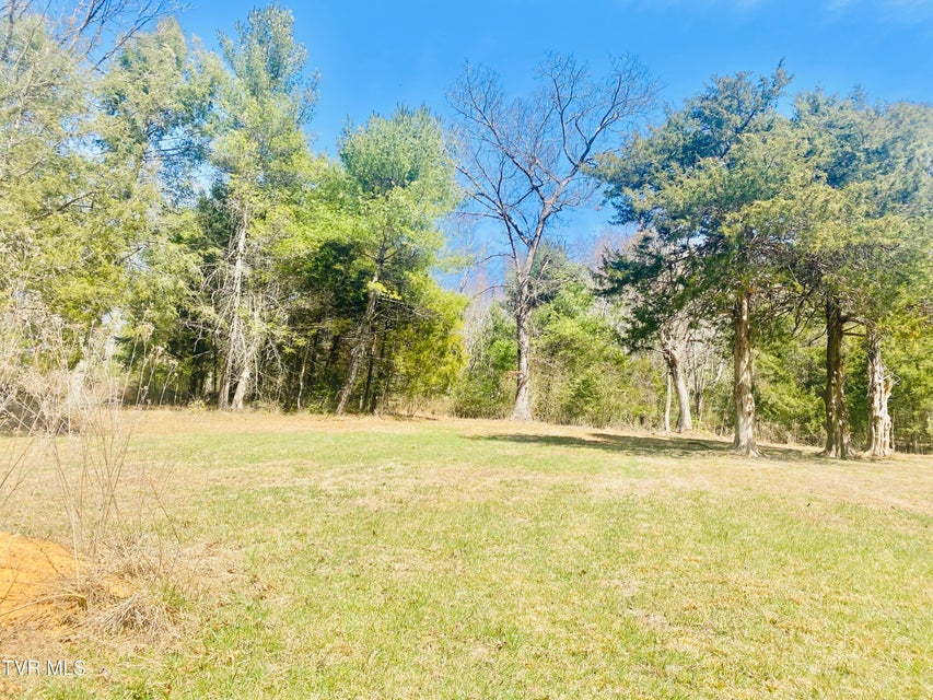 Photo #4: Lot Vineyard Valley Drive