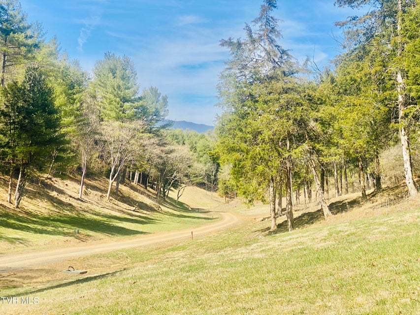 Photo #7: Lot Vineyard Valley Drive