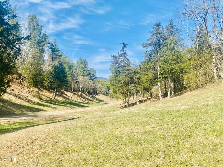 Photo #8: Lot Vineyard Valley Drive