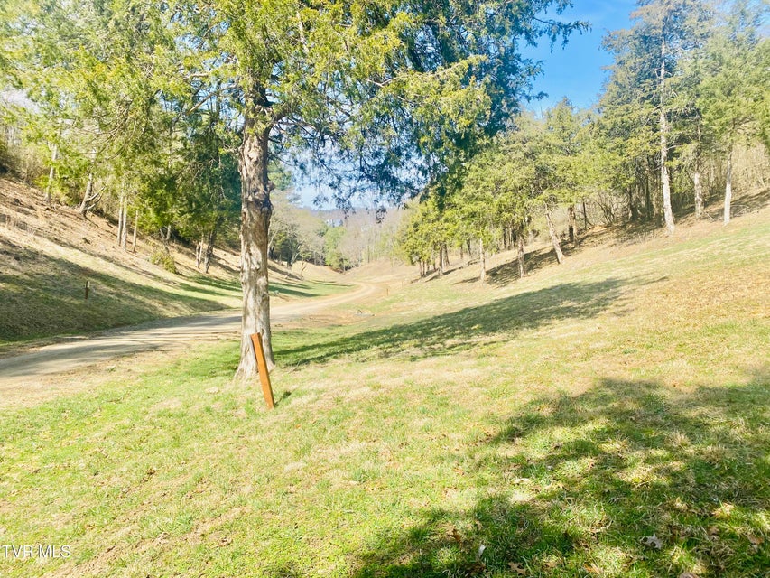 Photo #9: Lot Vineyard Valley Drive