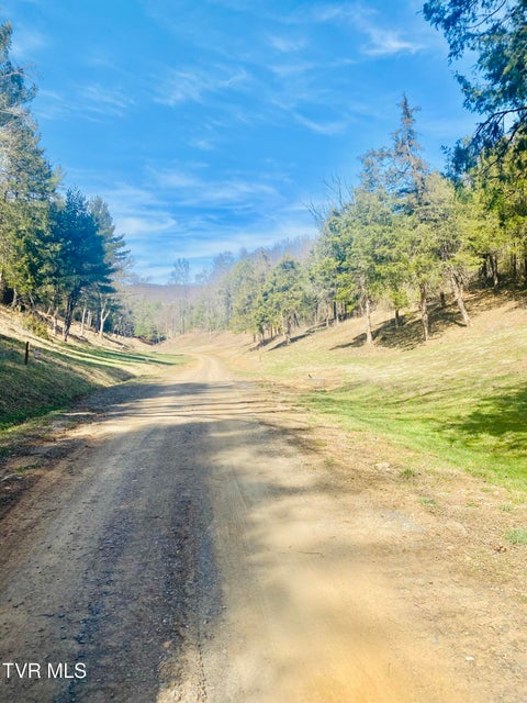 Photo #11: Lot Vineyard Valley Drive