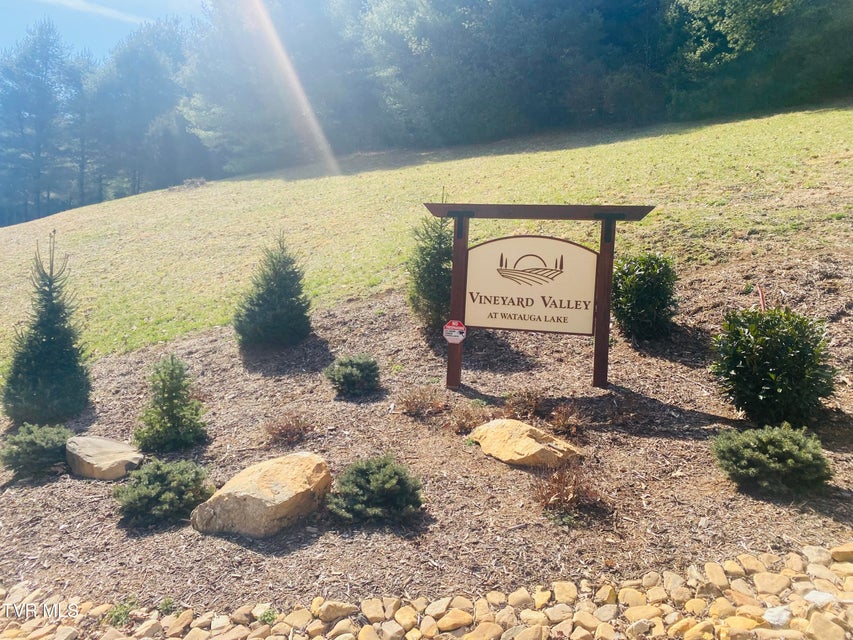 Photo #21: Lot Vineyard Valley Drive