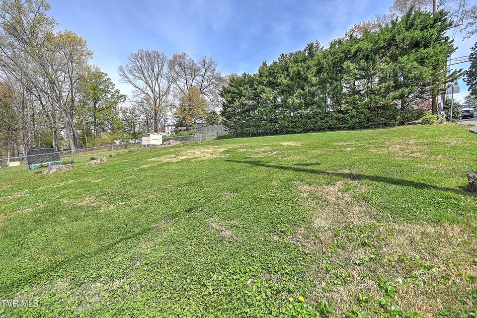 Photo #49: 1154 Catawba Street