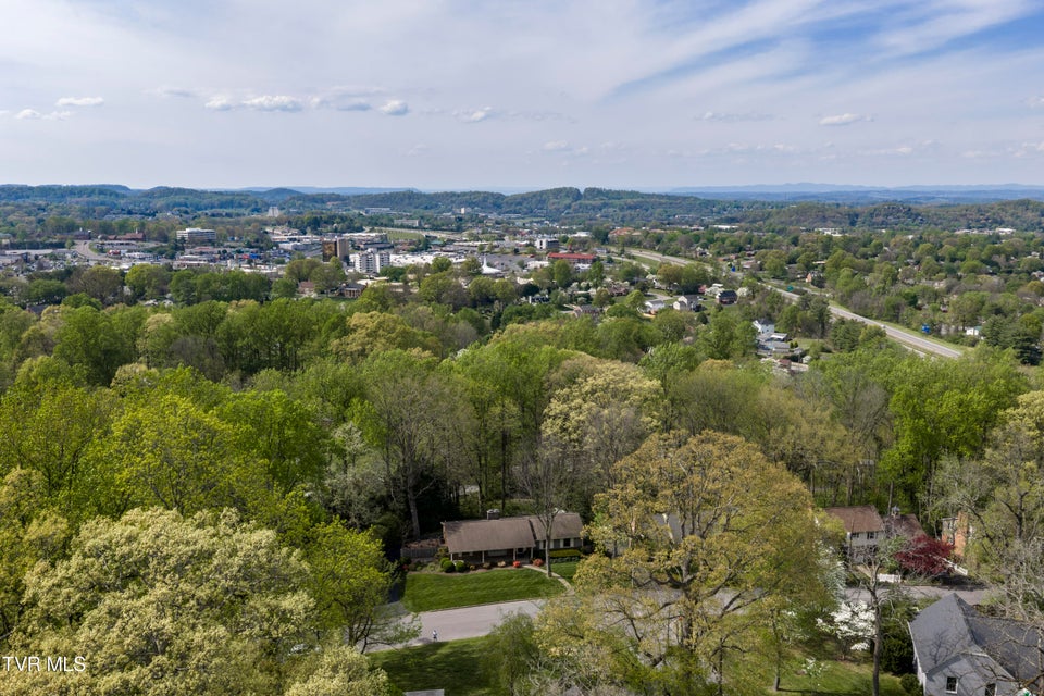 Photo #66: 303 Hillside Road