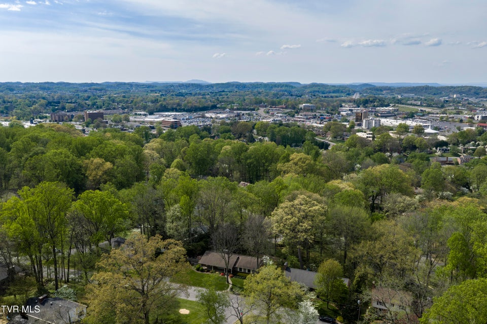 Photo #67: 303 Hillside Road