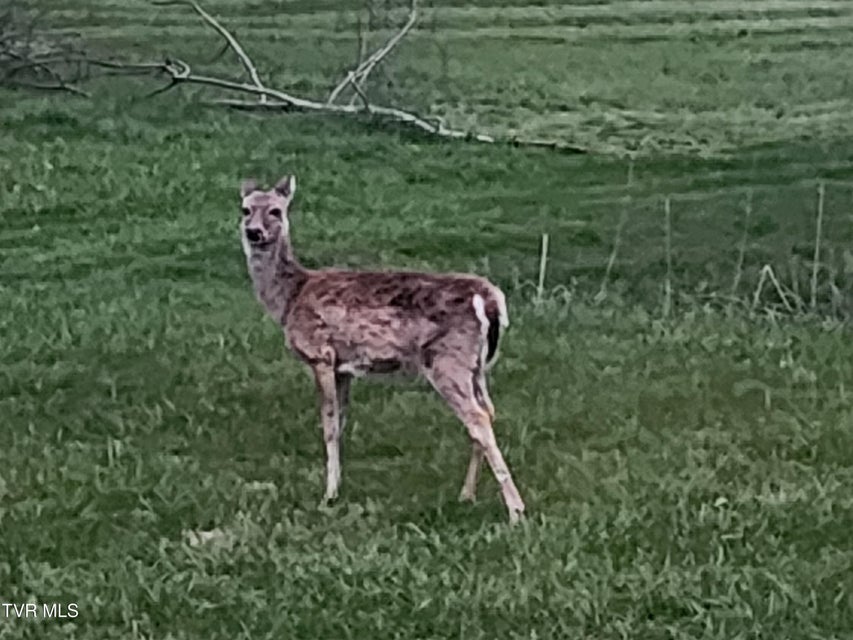 Photo #51: 13903 Vintage View