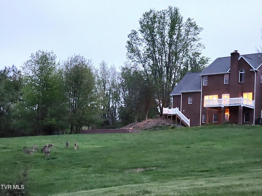 Photo #72: 13903 Vintage View