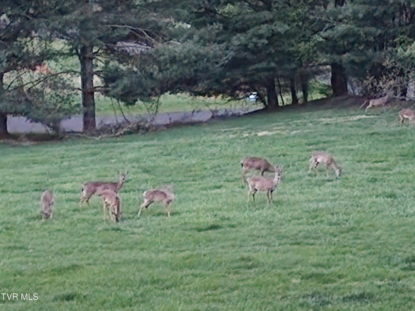 Photo #52: 13903 Vintage View