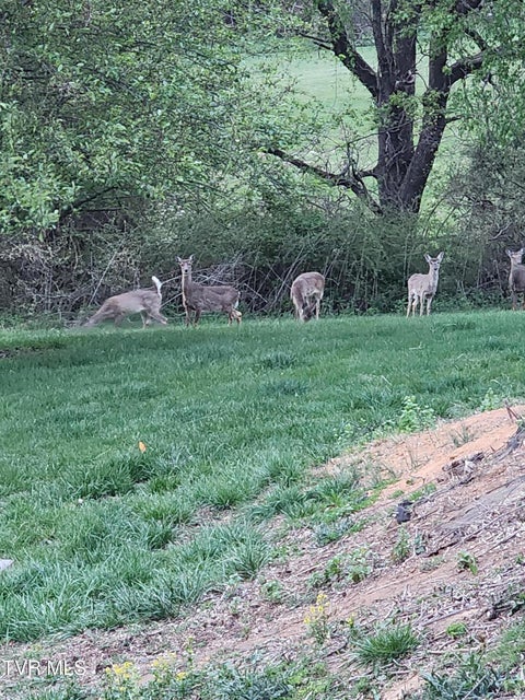 Photo #53: 13903 Vintage View