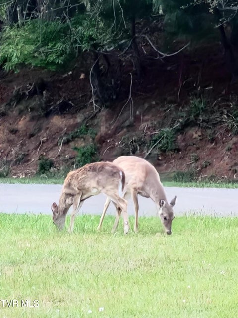 Photo #50: 13903 Vintage View