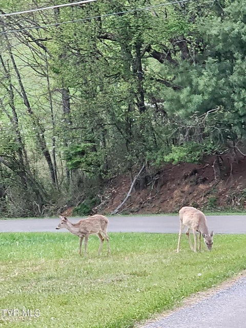 Photo #49: 13903 Vintage View