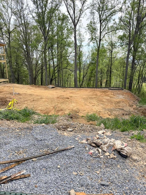 Photo #2: 414 English Ivy Trail