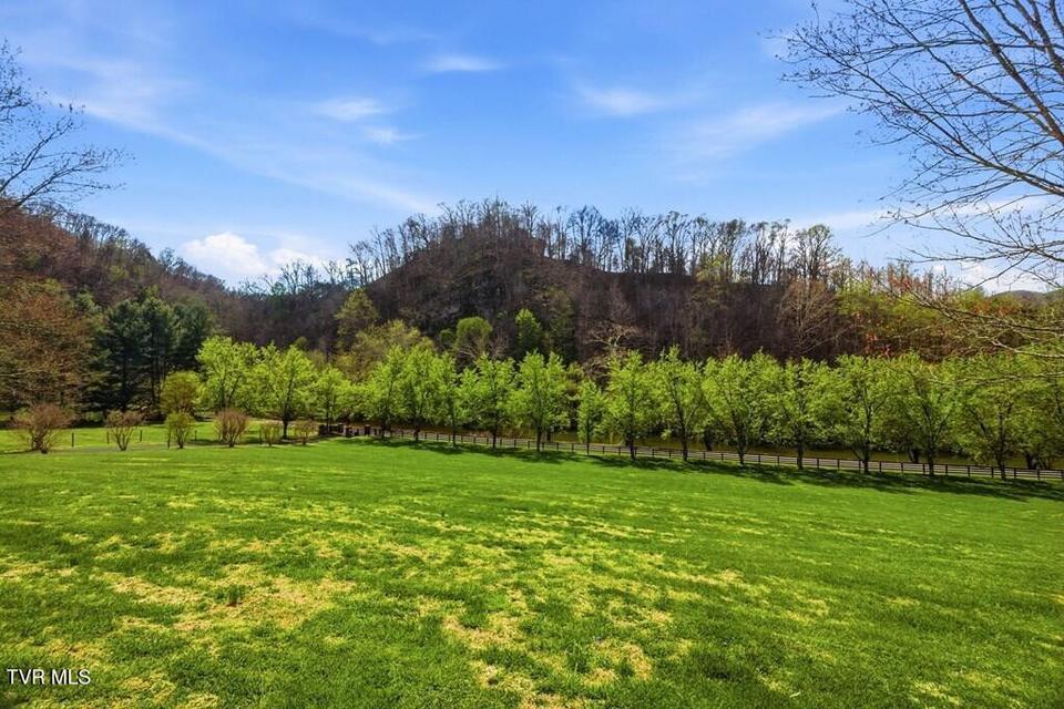 Photo #69: 4457 Swinging Bridge Road