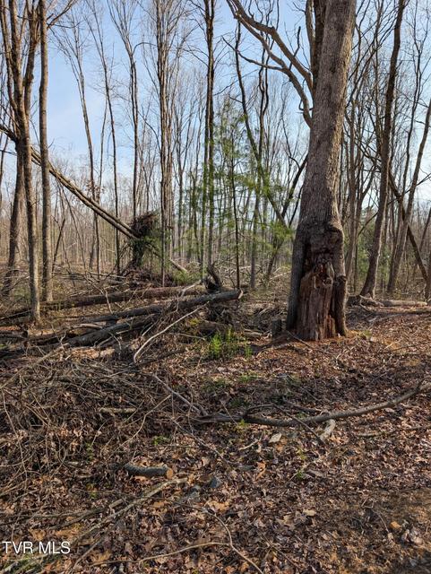 Photo #8: Tbd Council Drive