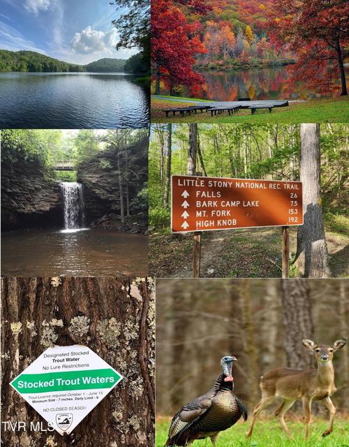 Photo #10: Tbd Council Drive