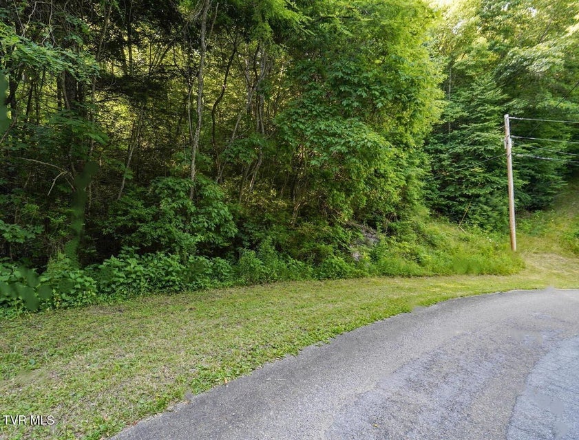 Photo #4: Lot 7 Laurel Highlands Road
