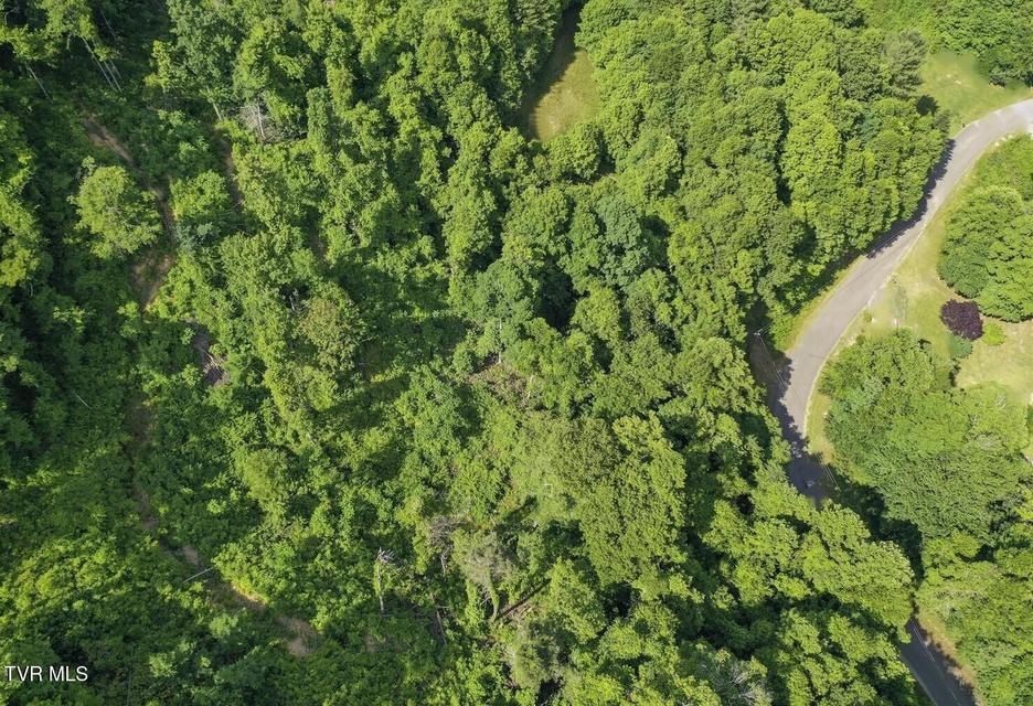 Photo #5: Lot 7 Laurel Highlands Road