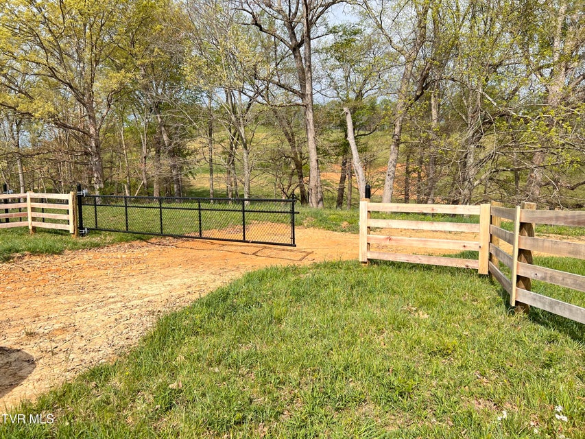 Photo #23: 16+/-Ac Jackson Road