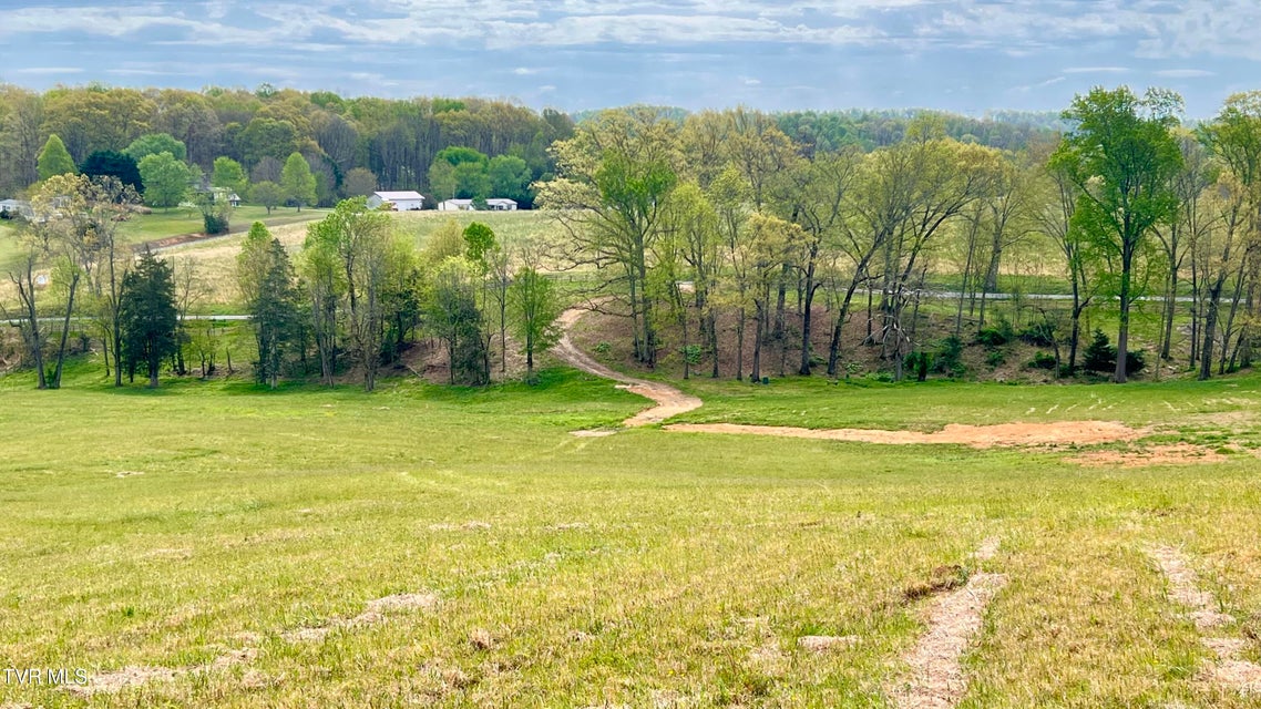 Photo #27: 16+/-Ac Jackson Road