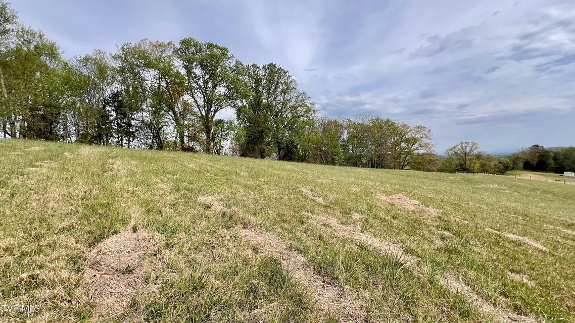 Photo #28: 16+/-Ac Jackson Road