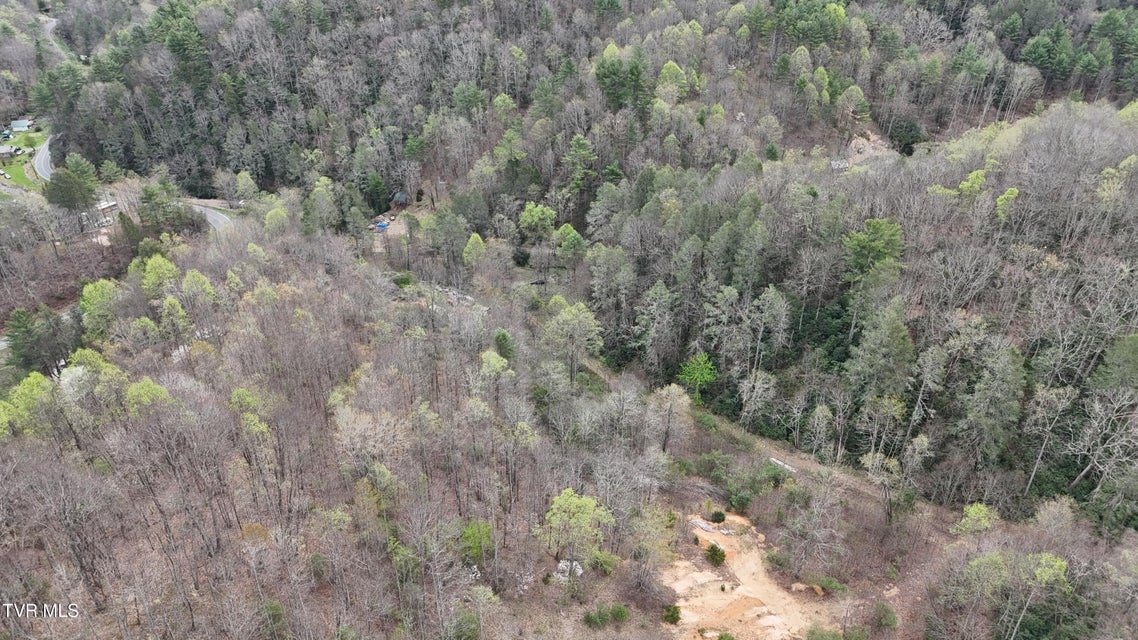 Photo #41: 719 Simerly Creek Road