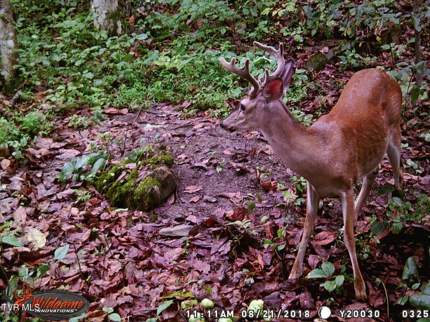 Photo #2: 17532 Phillips Road