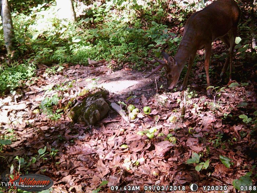 Photo #3: 17532 Phillips Road