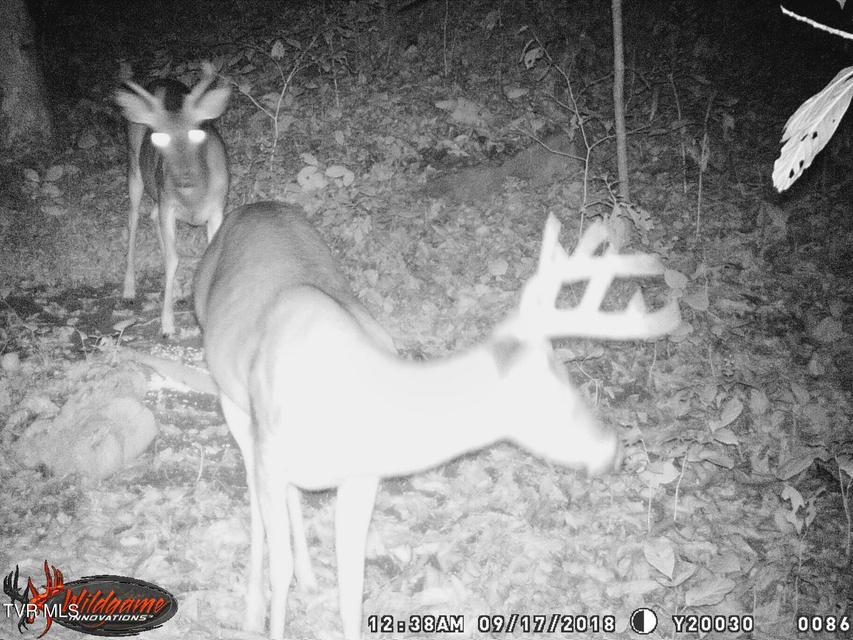 Photo #4: 17532 Phillips Road