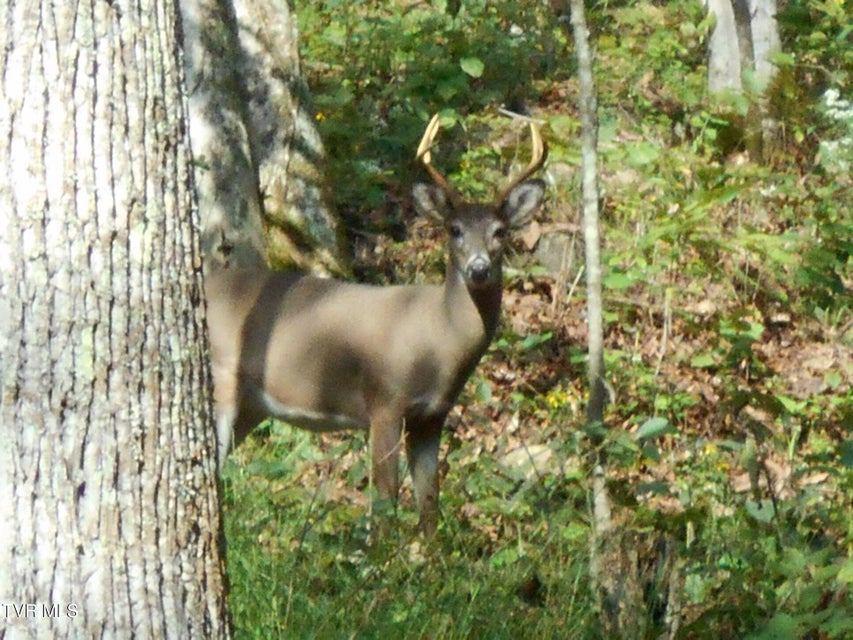 Photo #5: 17532 Phillips Road