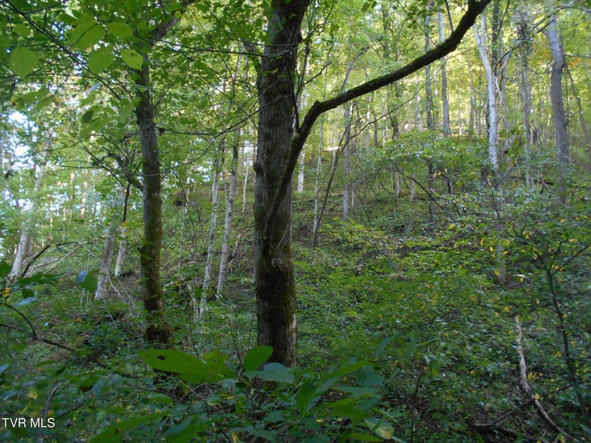 Photo #6: 17532 Phillips Road