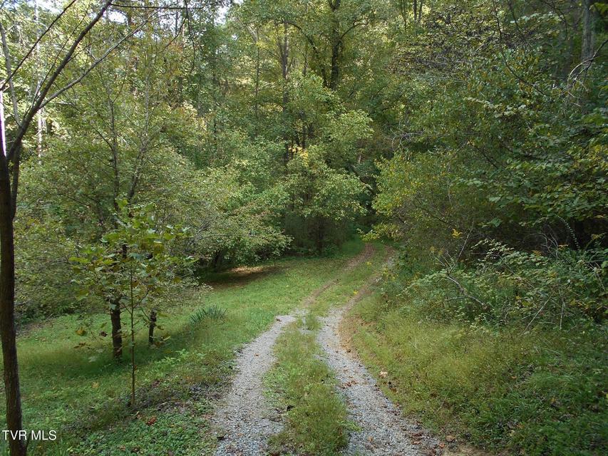 Photo #7: 17532 Phillips Road