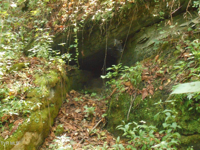 Photo #8: 17532 Phillips Road