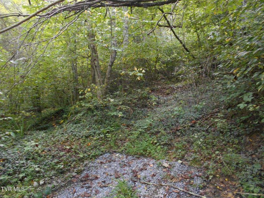 Photo #9: 17532 Phillips Road