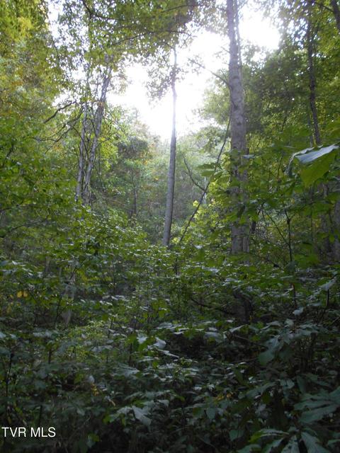 Photo #10: 17532 Phillips Road