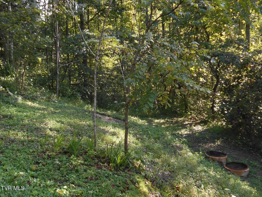 Photo #11: 17532 Phillips Road