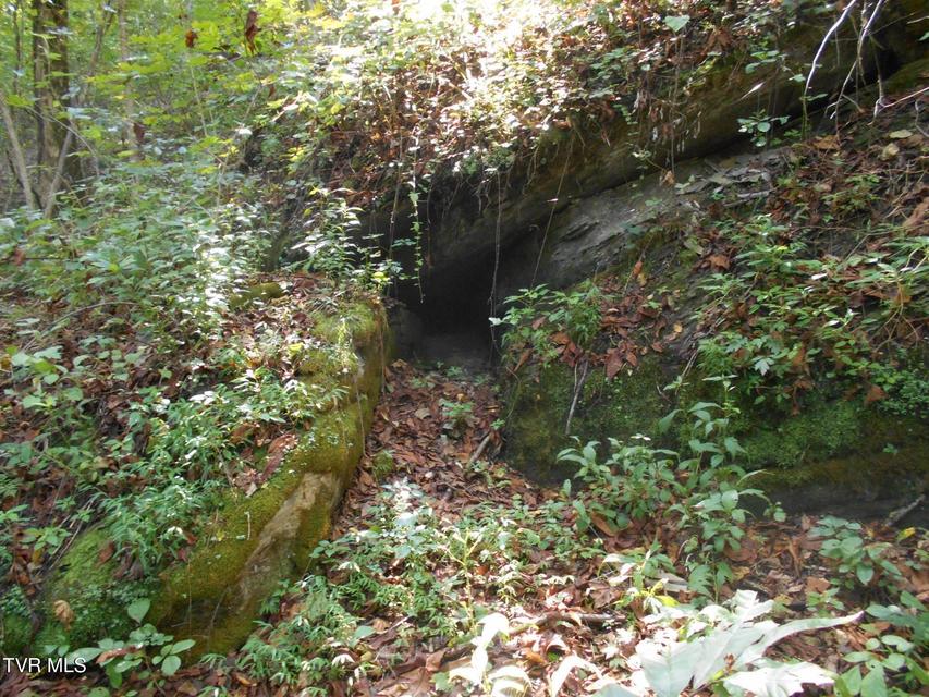 Photo #12: 17532 Phillips Road