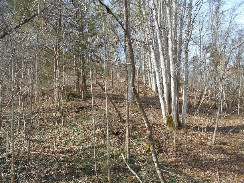 Photo #14: 17532 Phillips Road