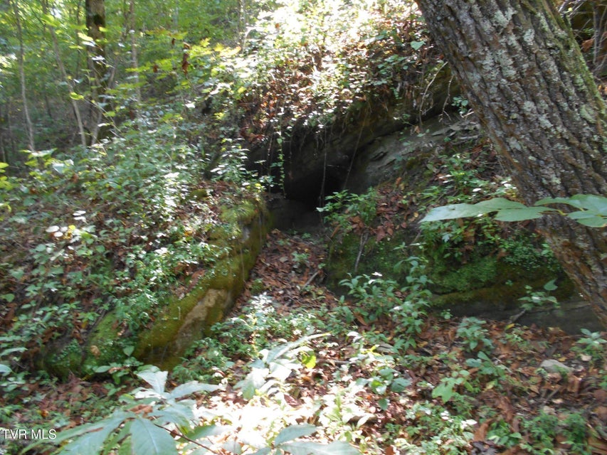 Photo #15: 17532 Phillips Road