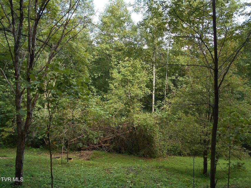 Photo #17: 17532 Phillips Road