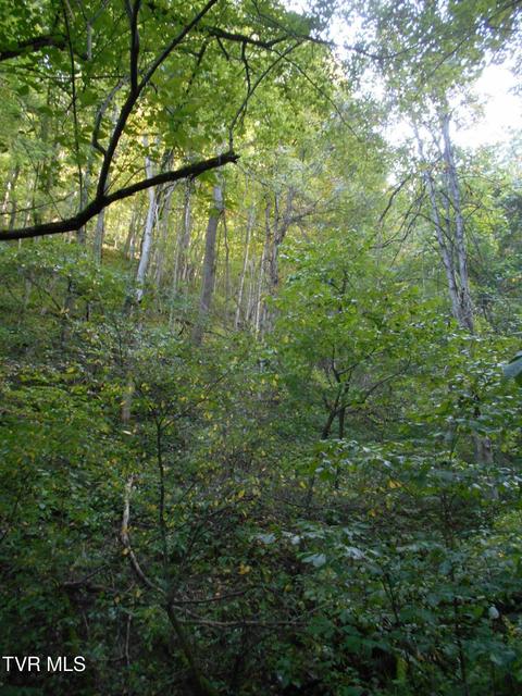 Photo #18: 17532 Phillips Road