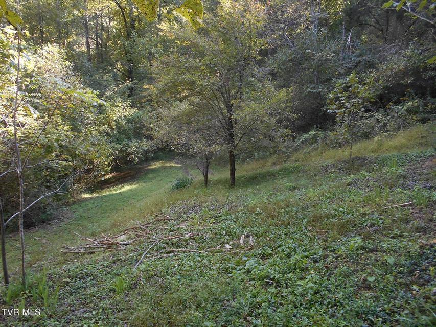 Photo #19: 17532 Phillips Road