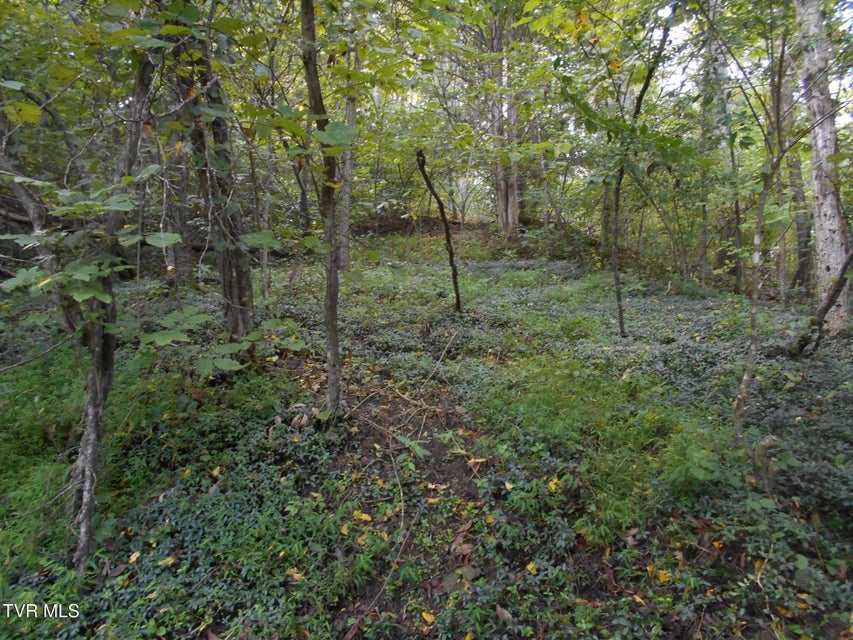 Photo #20: 17532 Phillips Road