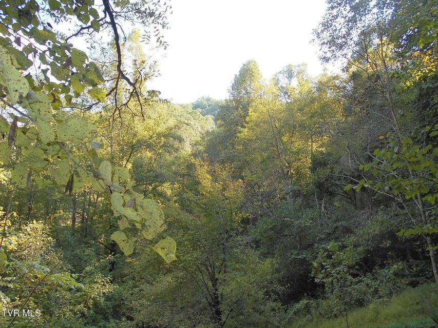 Photo #21: 17532 Phillips Road