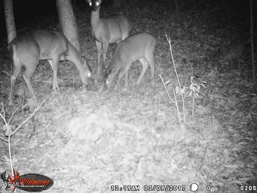 Photo #22: 17532 Phillips Road