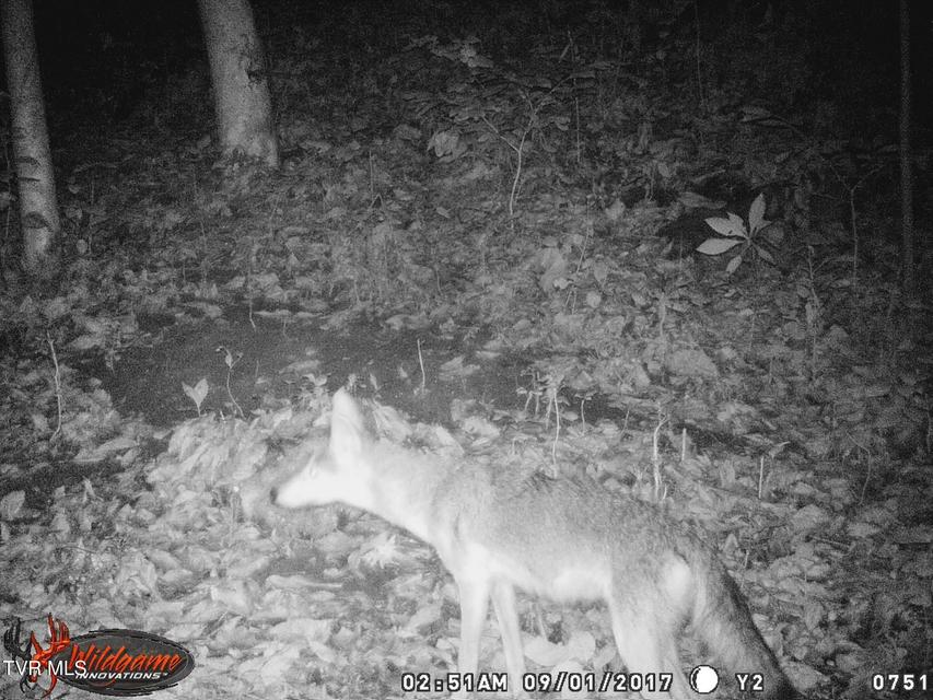 Photo #23: 17532 Phillips Road