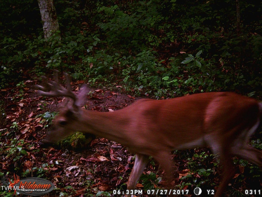 Photo #24: 17532 Phillips Road