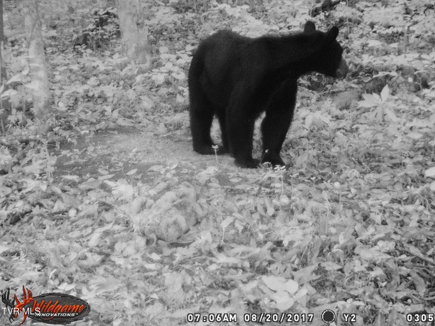 Photo #25: 17532 Phillips Road