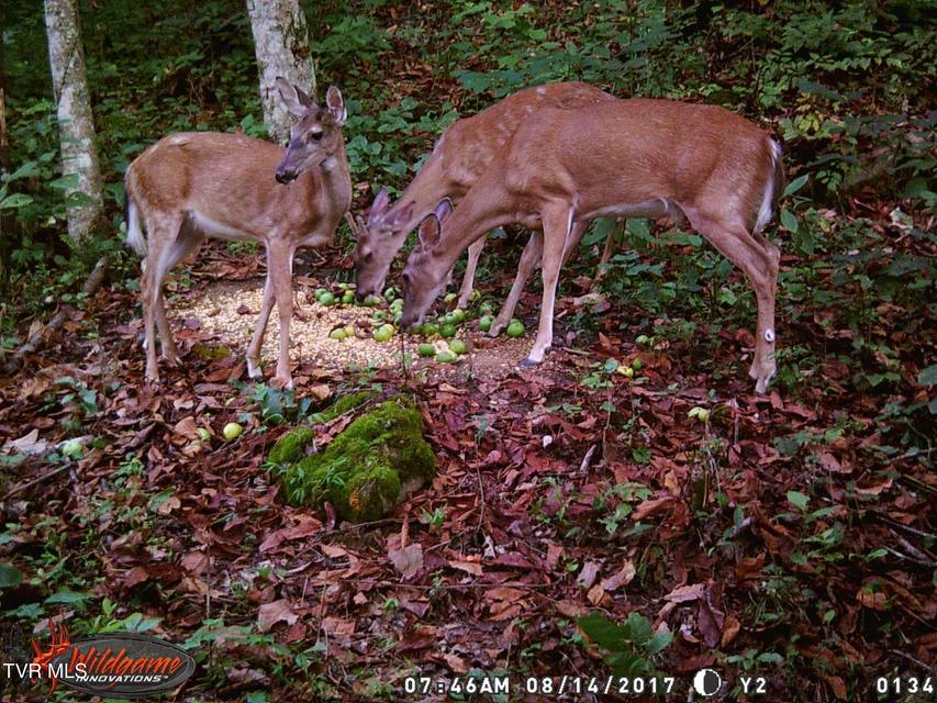 Photo #26: 17532 Phillips Road